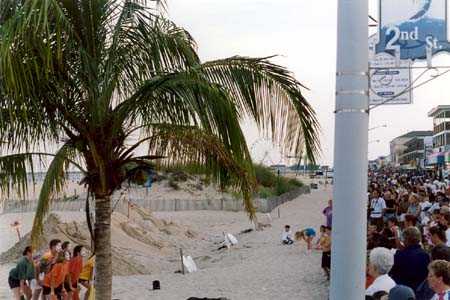 At the beach